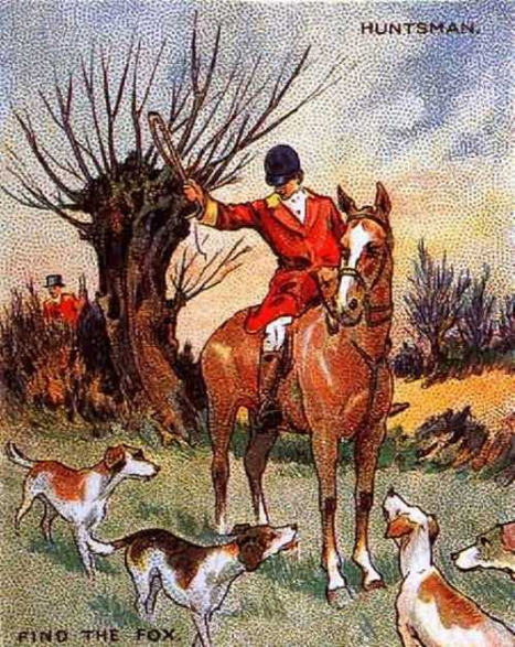 روباه را پیدا کنید