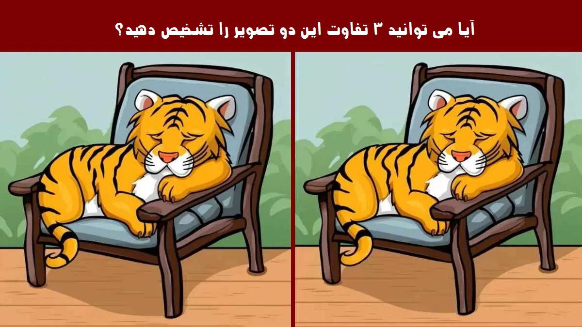 آزمون تشخیص تفاوت تصویر ببر