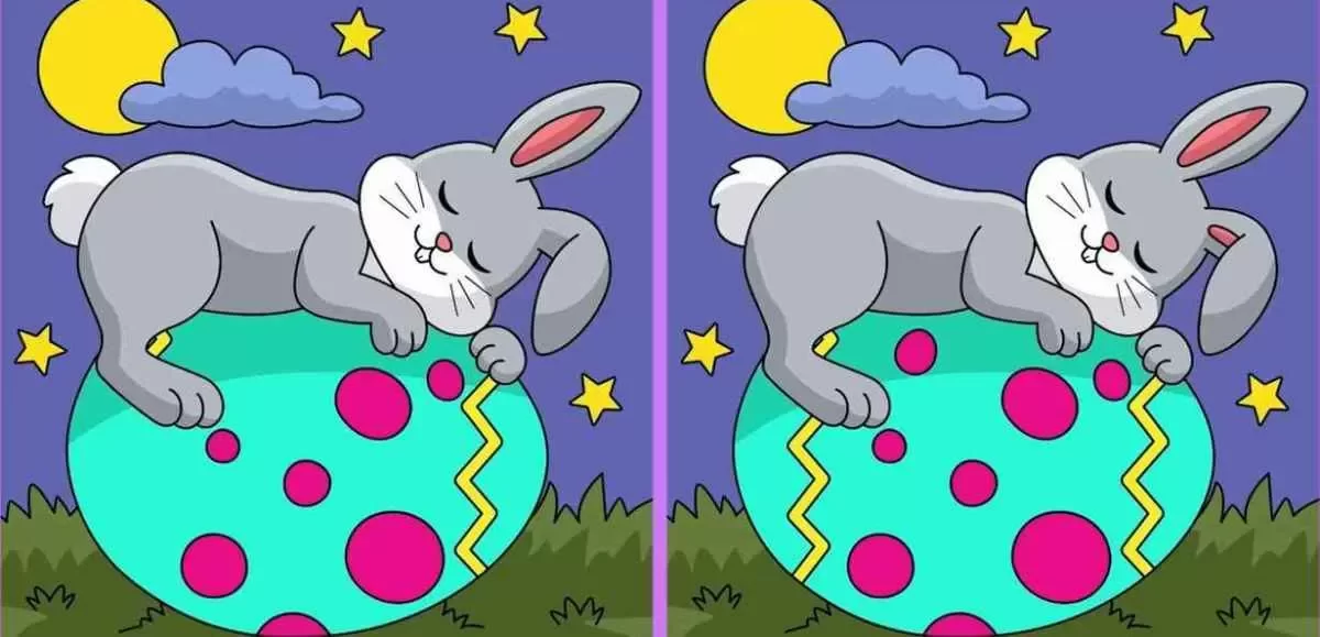 آزمون تشخیص تفاوت تصویر خرگوش