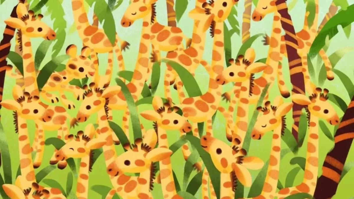 آزمون تشخیص پلنگ