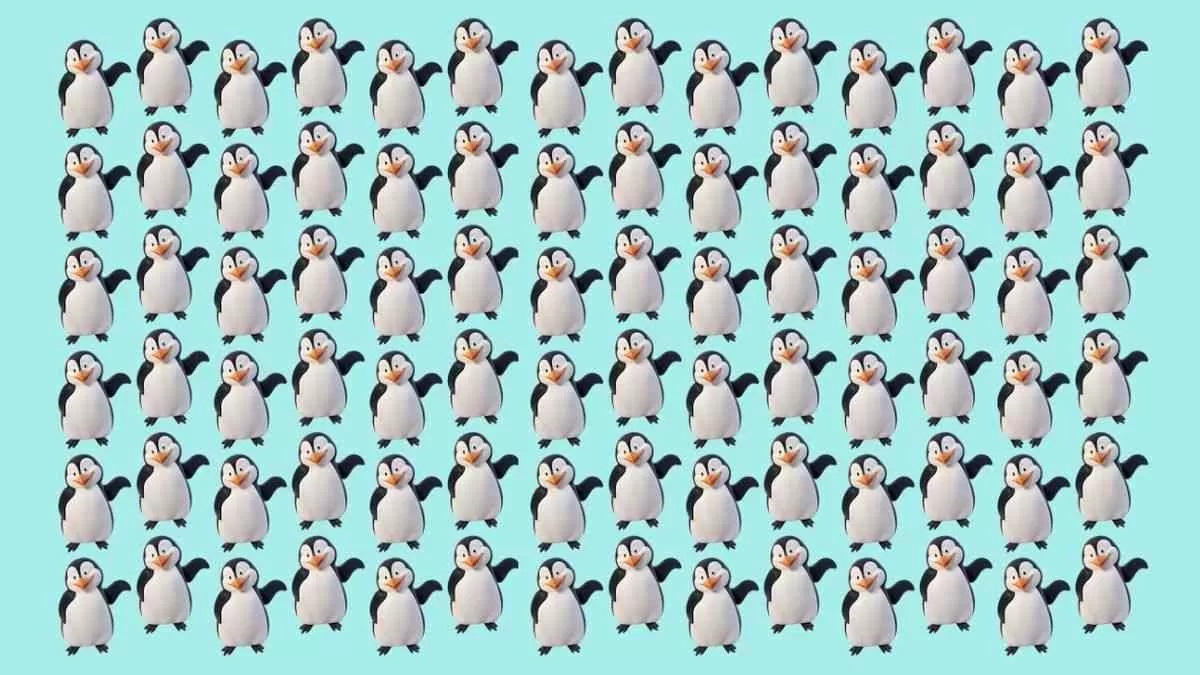 تصویر آزمون تشخیص پنگوئن متفاوت