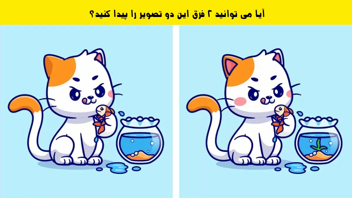 آزمون تفاوت تصویر گربه