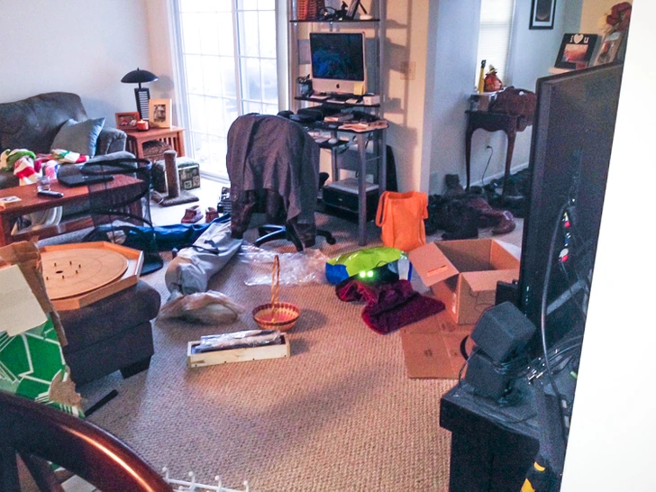 آزمون شناسایی گربه