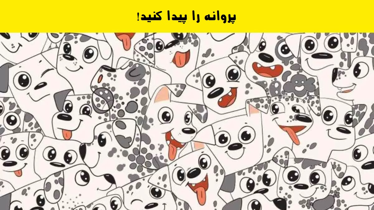 آزمون پروانه پنهان