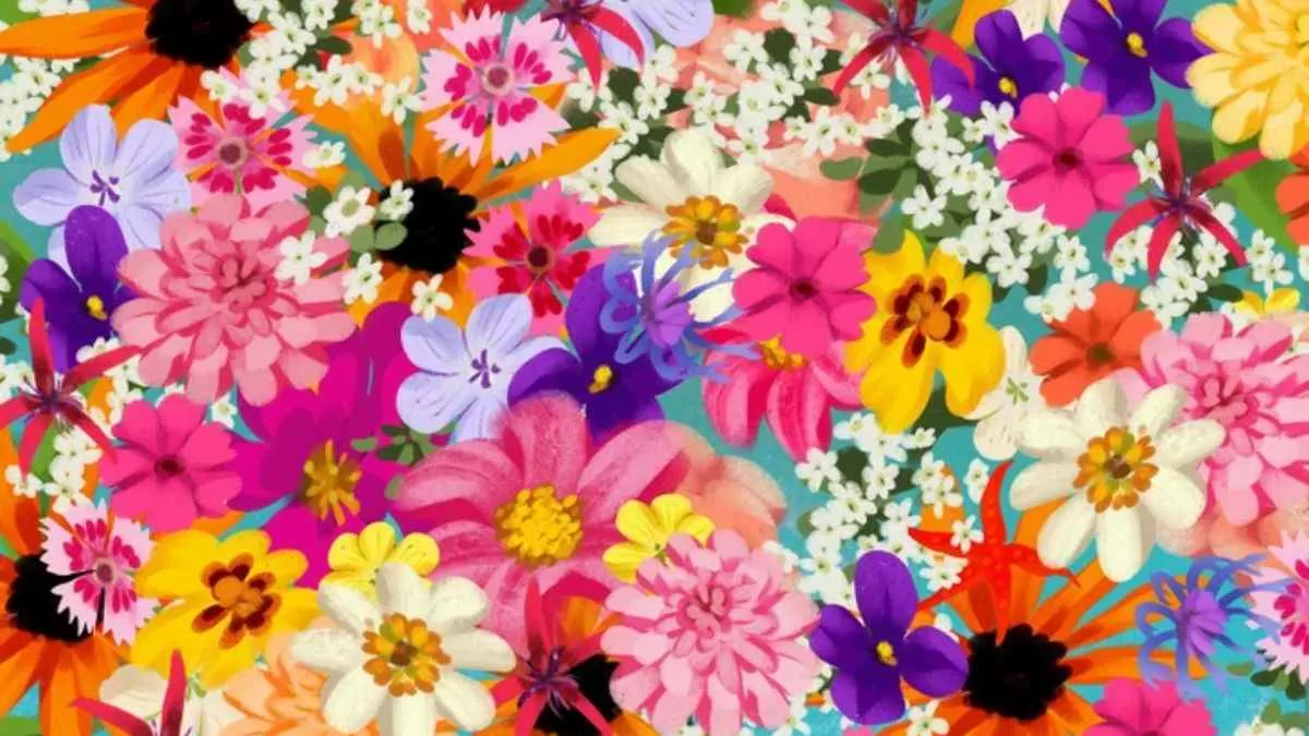 آزمون یافتن ستاره