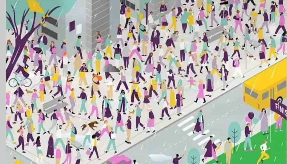 چتر را پیدا کنید