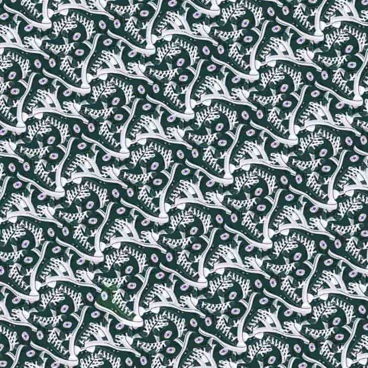 کفش سبز را پیدا کنید