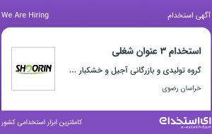 استخدام بازاریاب و ویزیتور، حسابدار و کارمند فروش در خراسان رضوی