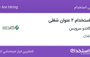 استخدام حسابدار ارشد و کمک حسابدار در گاندو سرویس در تهران