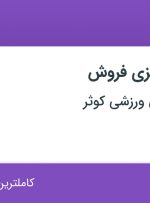 استخدام مدیر برنامه‌ریزی فروش در مجموعه تفریحی ورزشی کوثر در شیراز