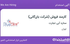 استخدام کارمند فروش (شرکت بازرگانی) در ستاره آبی تجارت در خانی آباد تهران
