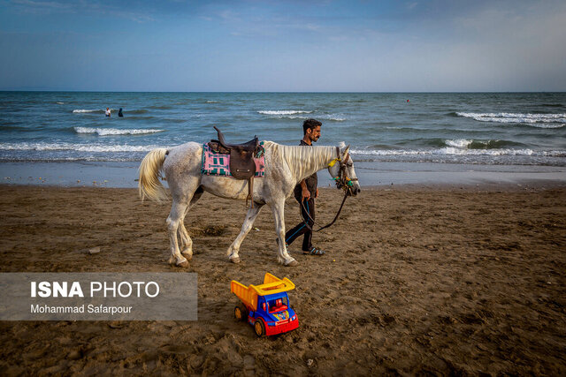 اهمیت سرمایه‌گذاری علمی برای درک بهتر اکوسیستم‌های دریایی