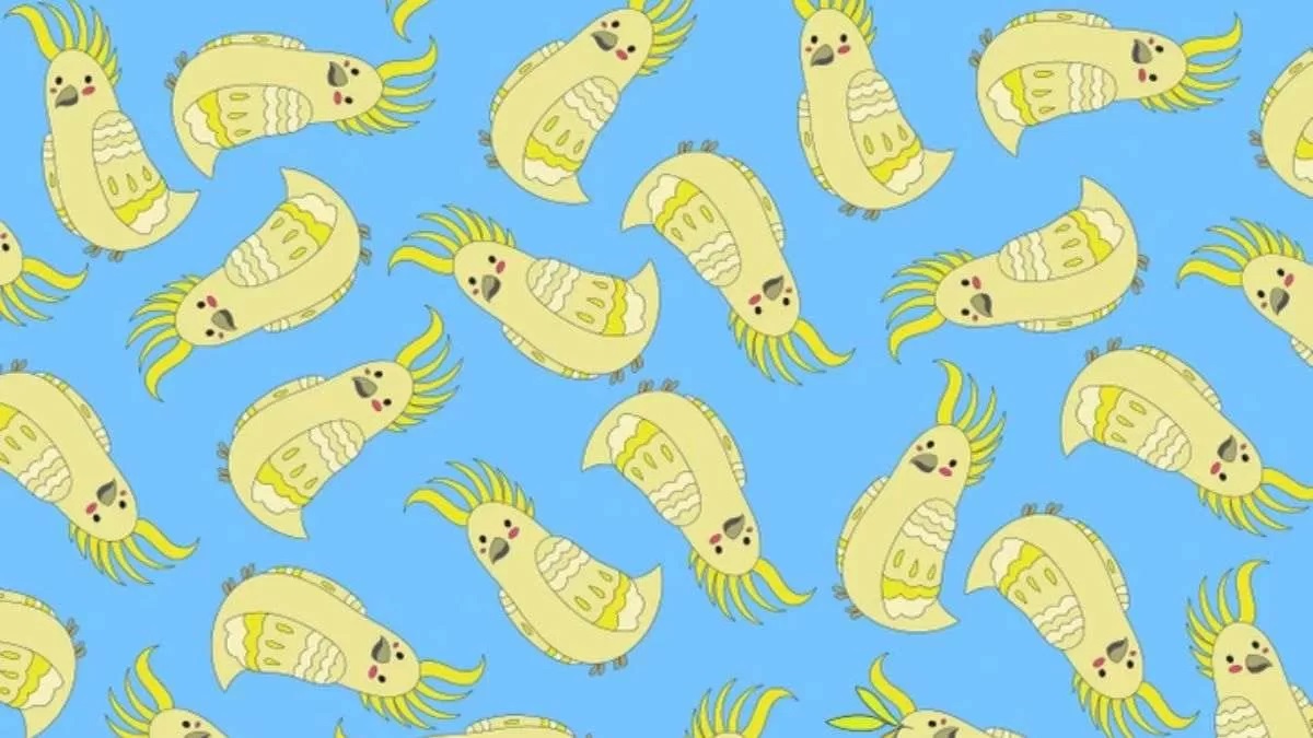 تست بینایی تشخیص برگ