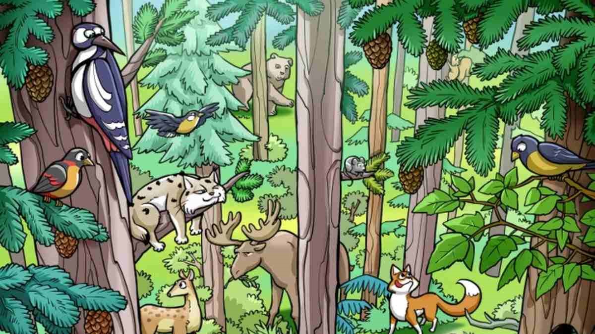 تصویر تست بینایی سنجاب پنهان