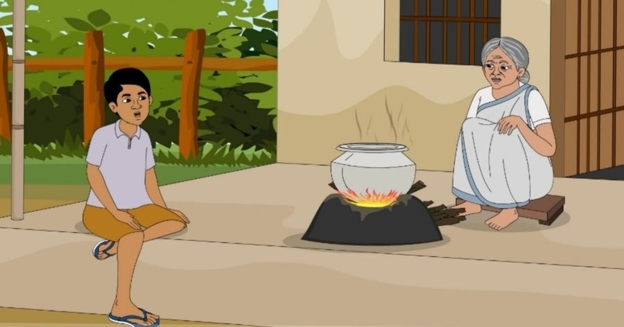 تست بینایی گربه پنهان