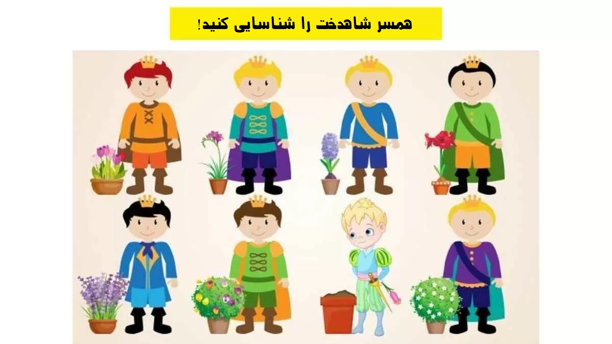 معمای همسر شاهدخت