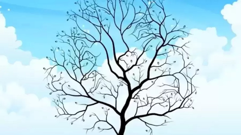 در تصویر چند حیوان وجود دارد؟