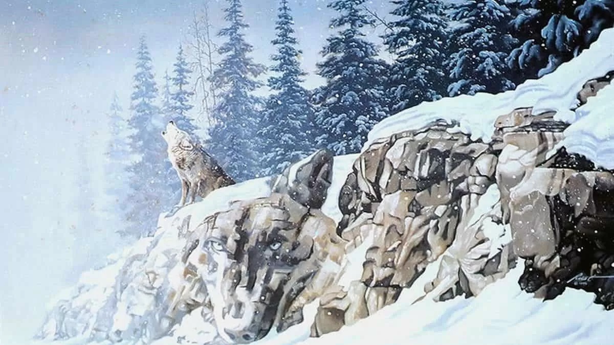 چالش بینایی گرگ