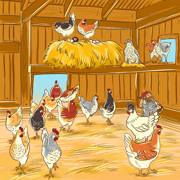 خطای دید در تصویر مزرعه