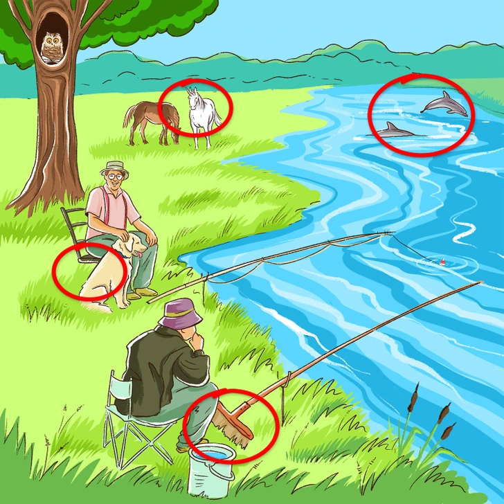 خطای دید در تست هوش