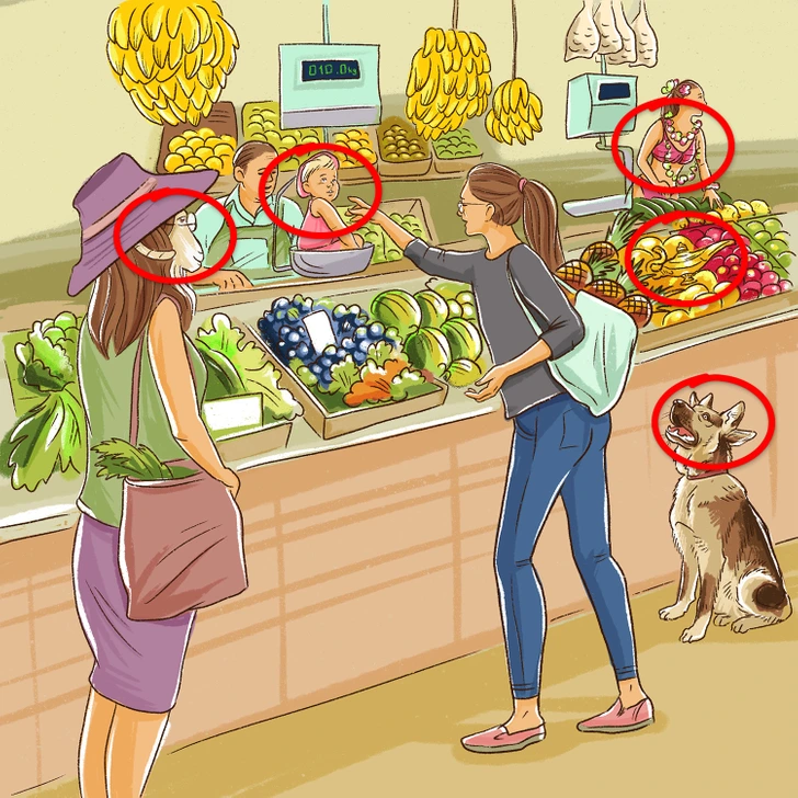 خطای دید در تست هوش