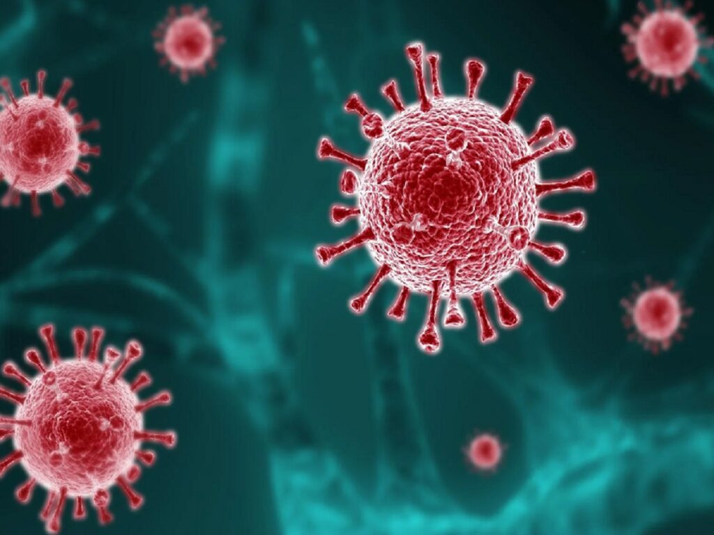 ویروس سنسیشیال تنفسی (RSV