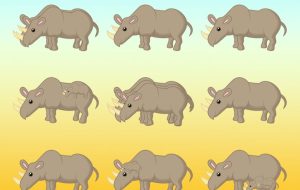 آزمون تعداد کرگدن: آیا می توانید در 11 ثانیه تعداد کرگدن ها را تشخیص دهید؟