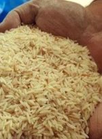  قیمت برنج پاکستانی درجه یک کیلویی چند؟ + جدول آذرماه (دانه بلند، نفیس، هایلی و…)