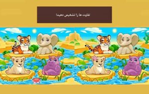 حل آزمون تقویت ضریب هوشی