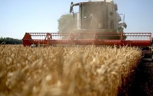 نایب رئیس کمیسیون کشاورزی:قیمت خرید گندم سریعتر اعلام شود-راهبرد معاصر