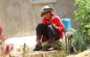 جایزه بزرگ جشنواره روسی برای فیلم ایرانی «تنها»-راهبرد معاصر جایزه بزرگ جشنواره روسی برای فیلم ایرانی «تنها»-راهبرد معاصر