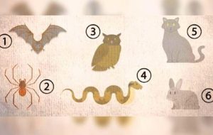 تست شخصیت ترس: از کدام حیوان می ترسید؟