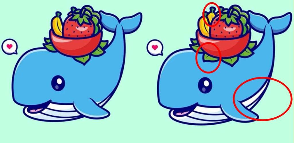 تفاوت های تصاویر نهنگ