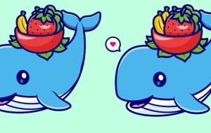 آزمون تشخیص تفاوت تصاویر نهنگ برای تست دقت بینایی