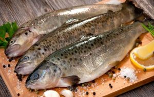 ۷ نوع ماهی که حتما باید بخورید + لیست قیمت انواع ماهی ۷ نوع ماهی که حتما باید بخورید + لیست قیمت انواع ماهی