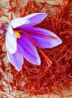گزارش نگران کننده رسانه آمریکایی از کاهش شدید تولید زعفران ایرانی/ امسال یک فاجعه بود
