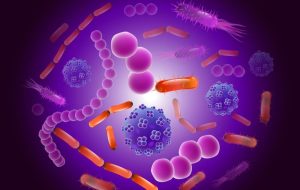 چرا میکروبیوم مهم است؟ – ایسنا