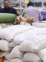 برنج ایرانی چند؟ – هوشمند نیوز