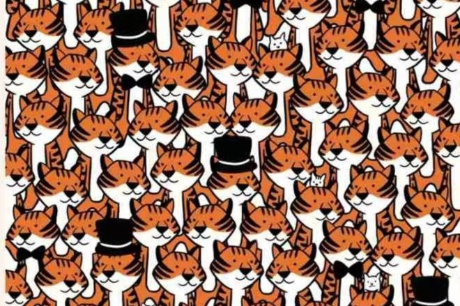 آزمون بینایی گربه های پنهان