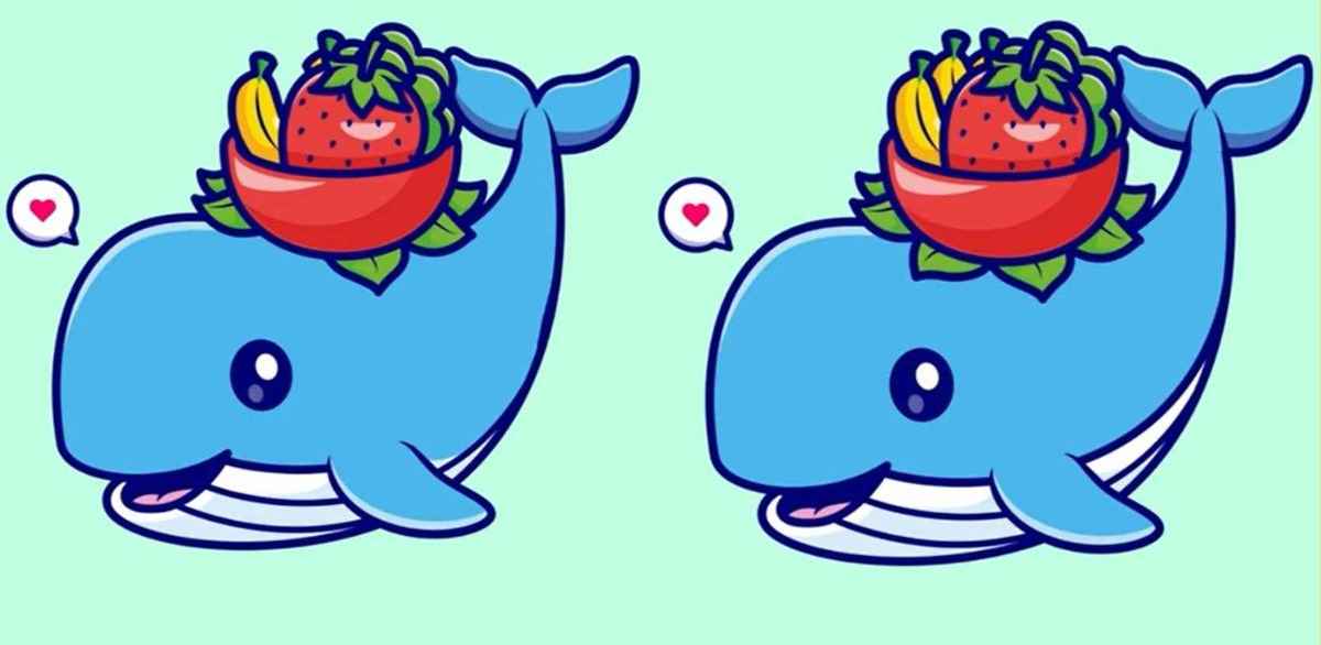 آزمون تشخیص تفاوت تصاویر نهنگ