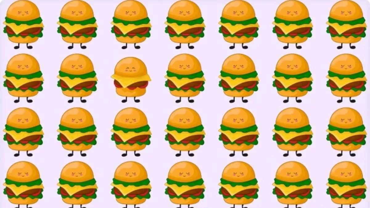 تصویر آزمون تشخیص چیزبرگر متفاوت