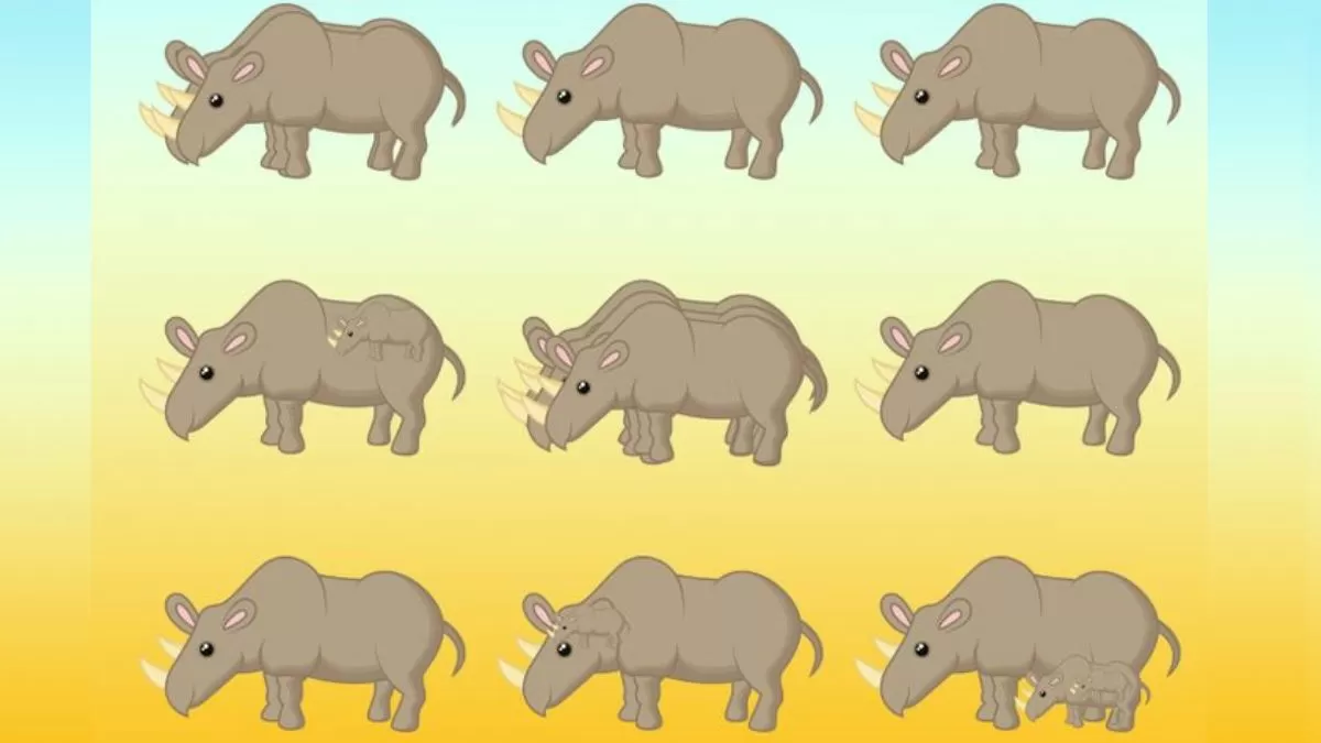 آزمون تعداد کرگدن