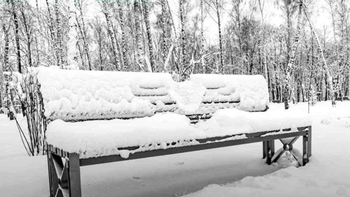 آزمون خرگوس سفید