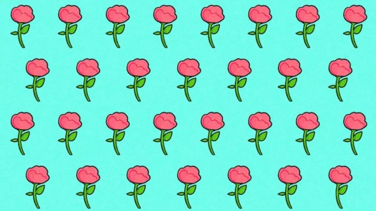 تصویر آزمون گل رز متفاوت