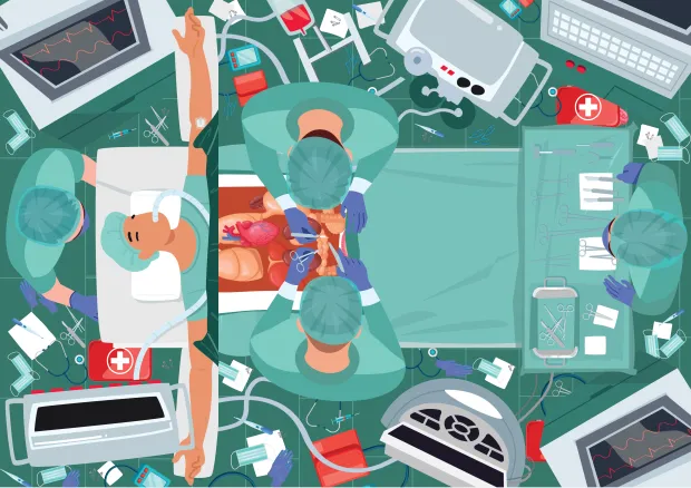 مغز را پیدا کنید