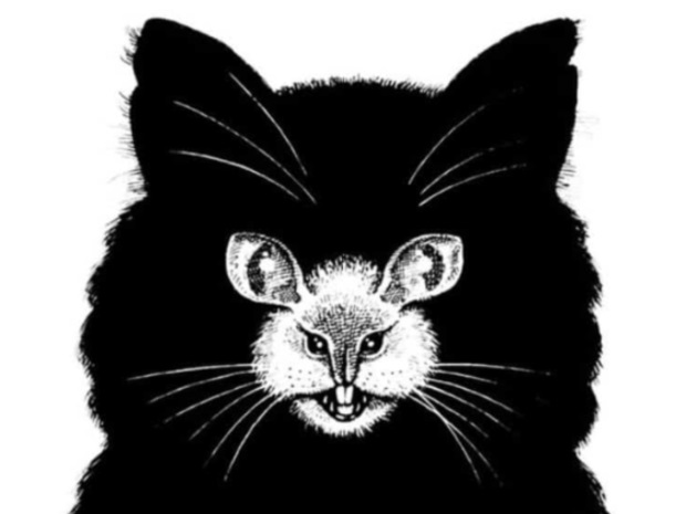 توهم نوری گربه و موش