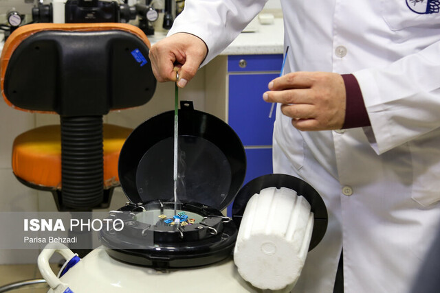 آنچه که زنان باید درباره «فریز تخمک» بدانند / تخمک فریز شده تا چه زمان ماندگاری دارد؟