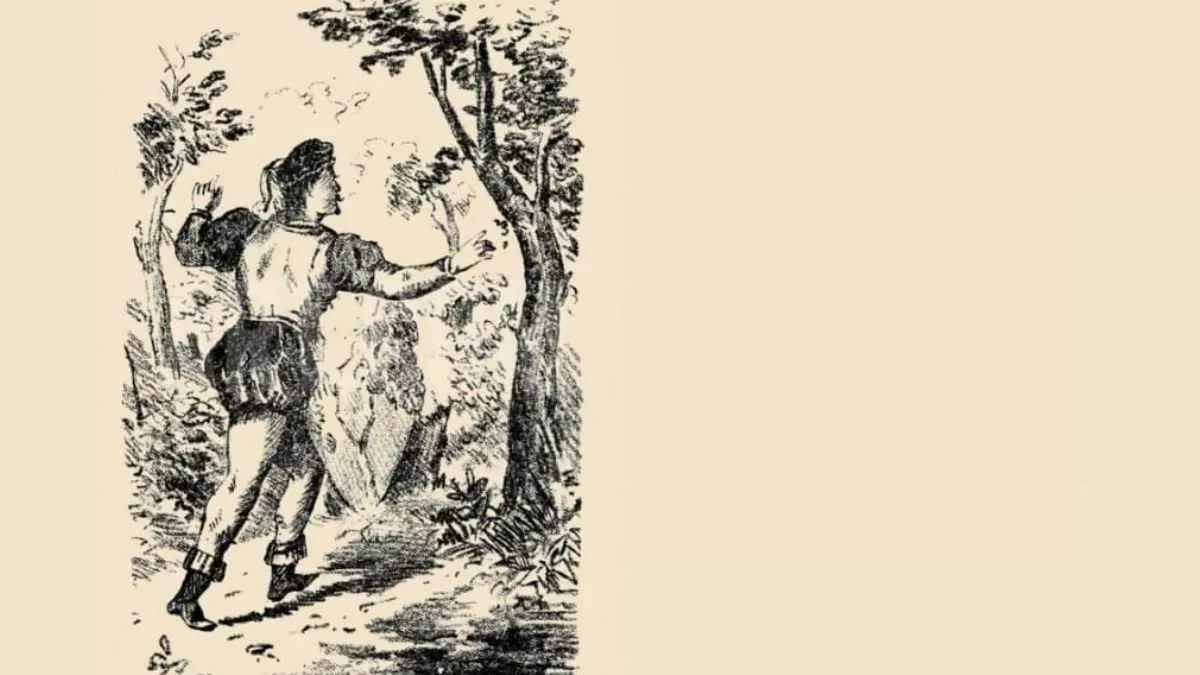 تست تصویری چهره پنهان