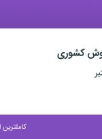 استخدام سرپرست فروش کشوری در شیخ هادی تهران