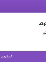 استخدام نقشه کش اتوکد در اصفهان
